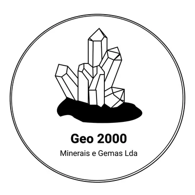 geo2000.pt's icon