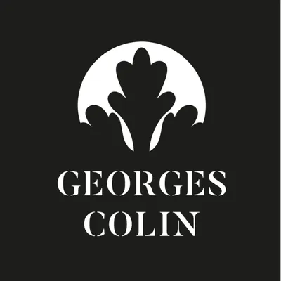 georgescolin.com's icon