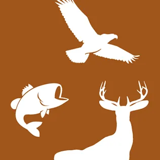 georgiawildlife.com's icon
