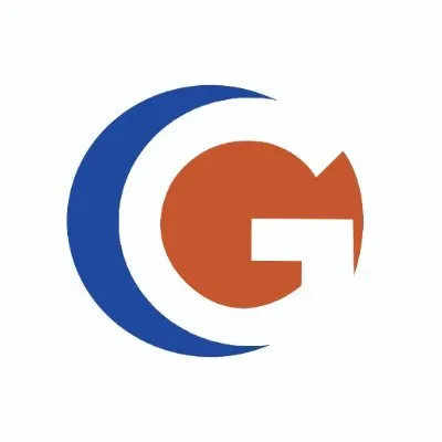 gerpatsolutions.co.tz's icon