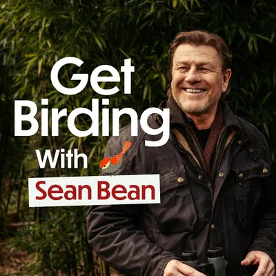 getbird.ing's icon