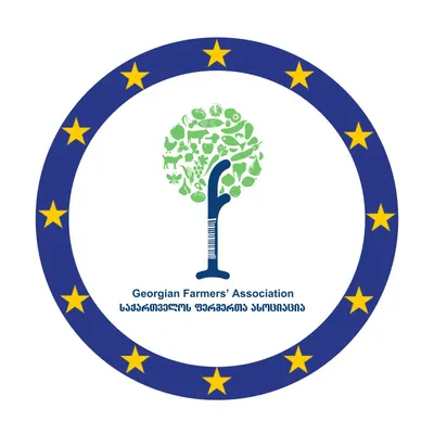 gfa.org.ge's icon