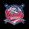 gfcolts.com's icon