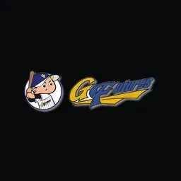 ggf-baseball.com's icon