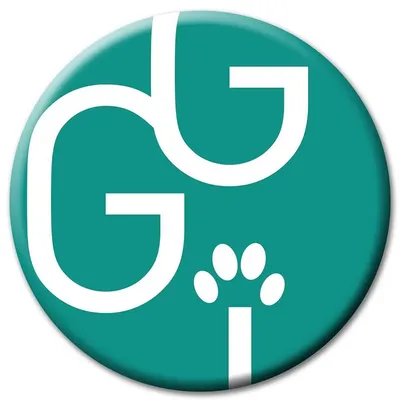 ggi.lt's icon