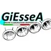 giesseaengine.it's icon
