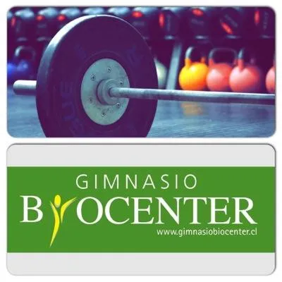 gimnasiobiocenter.cl's icon