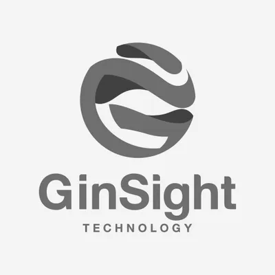 ginsighttech.com's icon