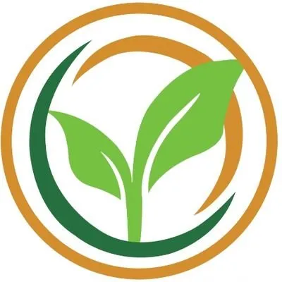 gipafoods.co.tz's icon
