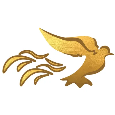 glorywellnessng.com's icon