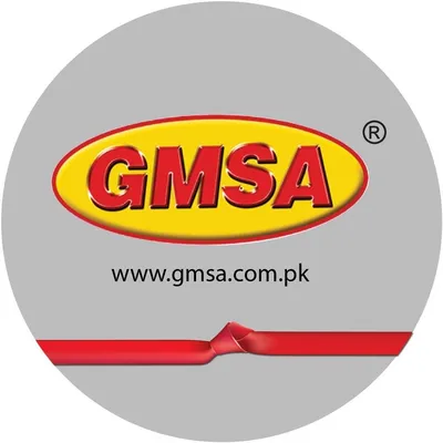 gmsa.com.pk's icon