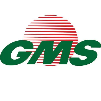gmsworldwide.com's icon