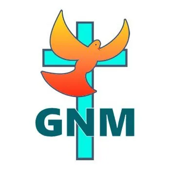 gnm.org's icon