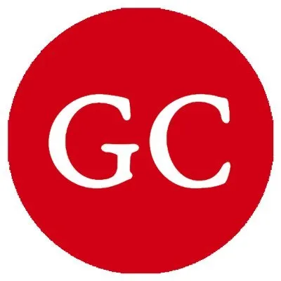 goachronicle.com's icon