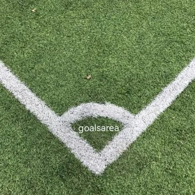 goalsarea.com's icon