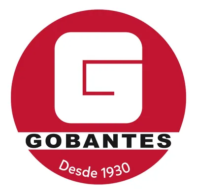 gobantes.cl's icon