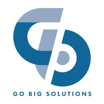 gobgsolutions.com's icon