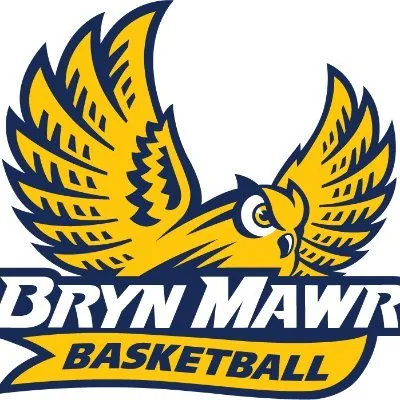 gobrynmawr.com's icon