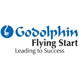 godolphinflyingstart.com's icon