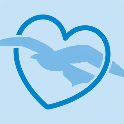 gogulfwinds.com's icon