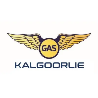 goldfieldsairservices.com's icon
