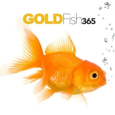 goldfish365.com's icon