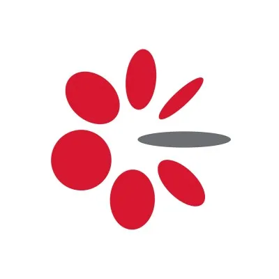 goldiran.ir's icon