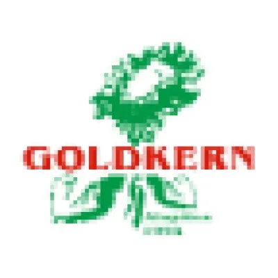 goldkern.hu's icon