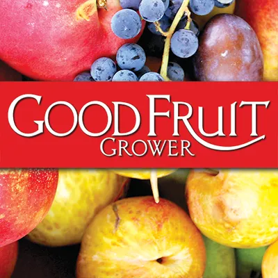 goodfruit.com's icon