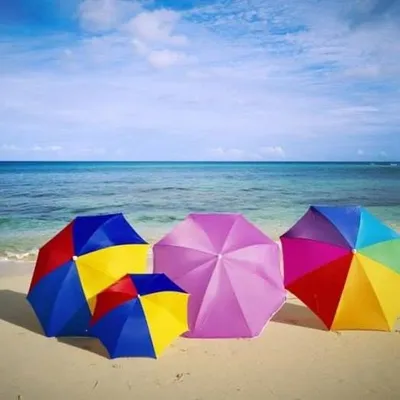 goodlifeexpeditions.com's icon