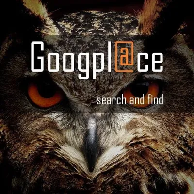 googplace.com's icon