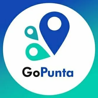 gopunta.uy's icon