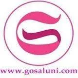 gosaluni.com's icon
