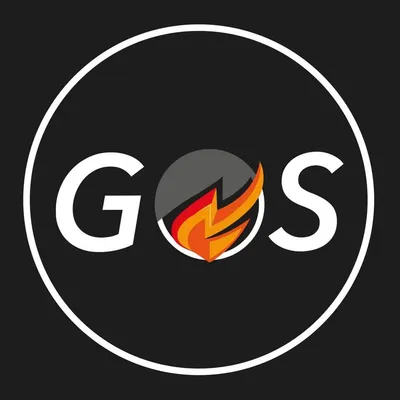 gosseguridad.com's icon