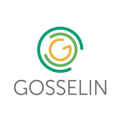 gosselingroup.eu's icon