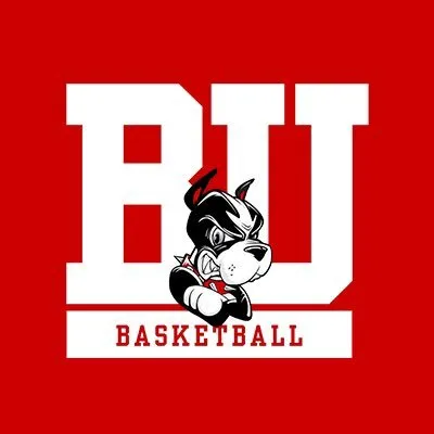 goterriers.com's icon