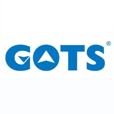 gots-elevator.com's icon