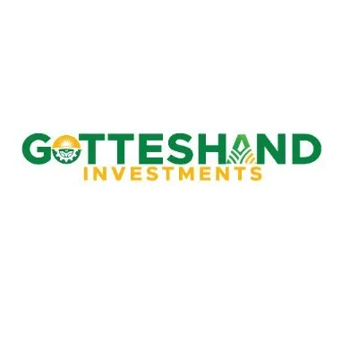 gotteshand.co.zw's icon