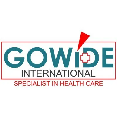 gowideinternational.com's icon