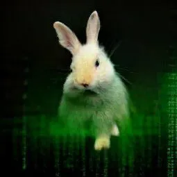 gr-gaming.com's icon