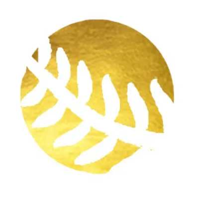 grace-eg.com's icon