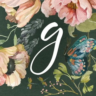 gracelaced.com's icon