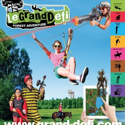 grand-defi.com's icon