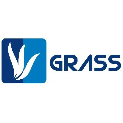 grassegypt.com's icon