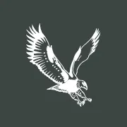 grayhawkindustries.com's icon