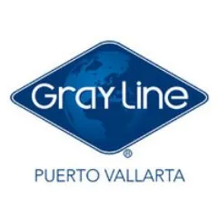 graylinevallarta.com's icon
