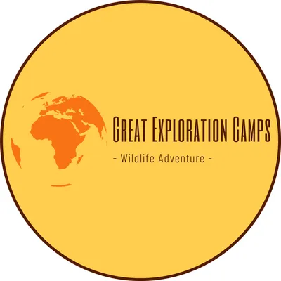 greatexplorationcamps.com's icon