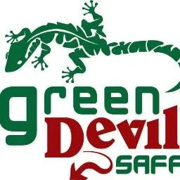 greendevilsafari.com's icon