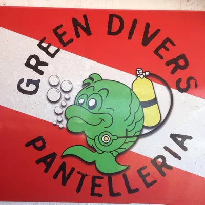 greendivers-sub.com's icon