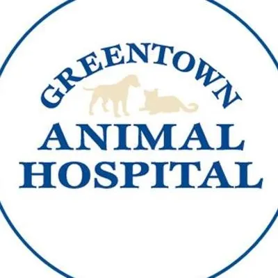 greentownvet.com's icon